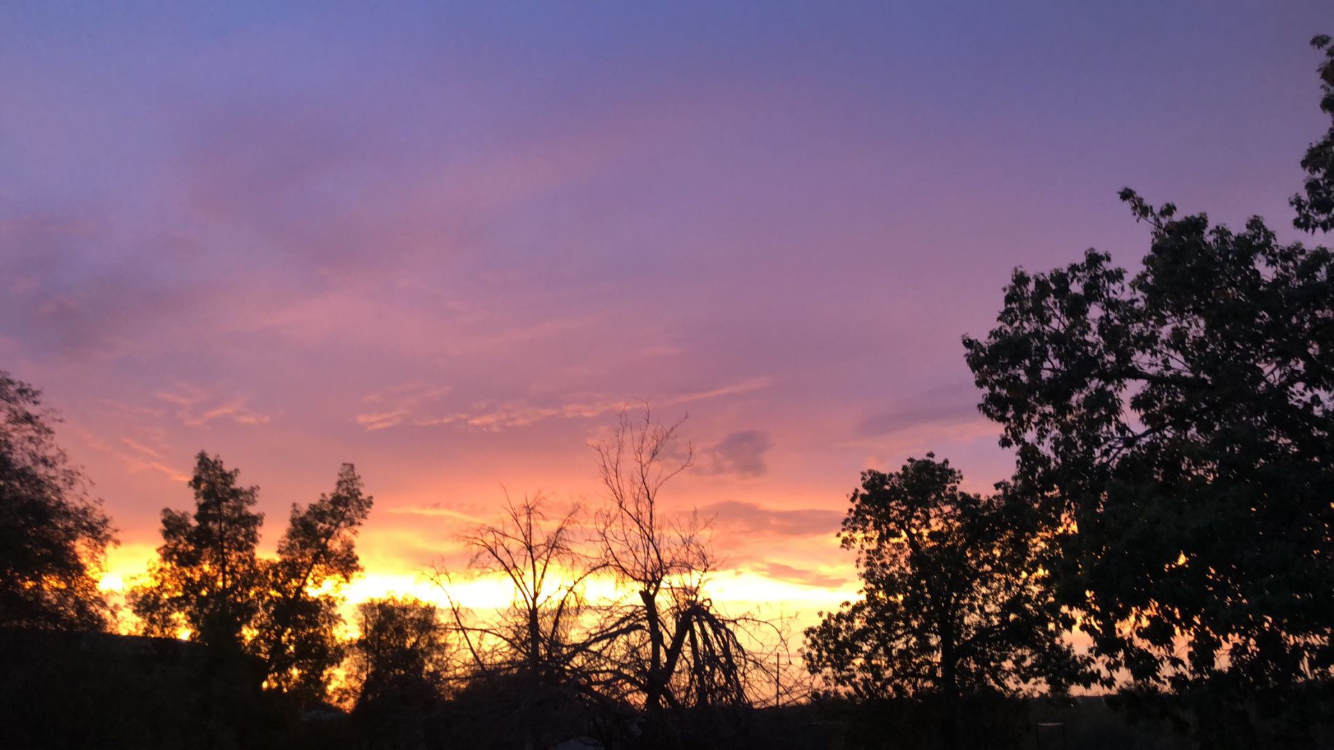 Tucson natural beauty
